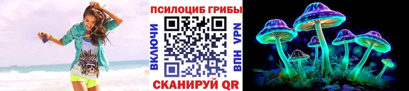 Псилоцибиновые грибы Psilocybe  Симферополь 