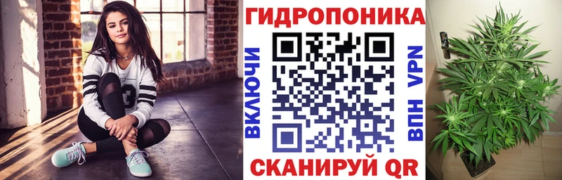 Каннабис OG Kush  Симферополь 